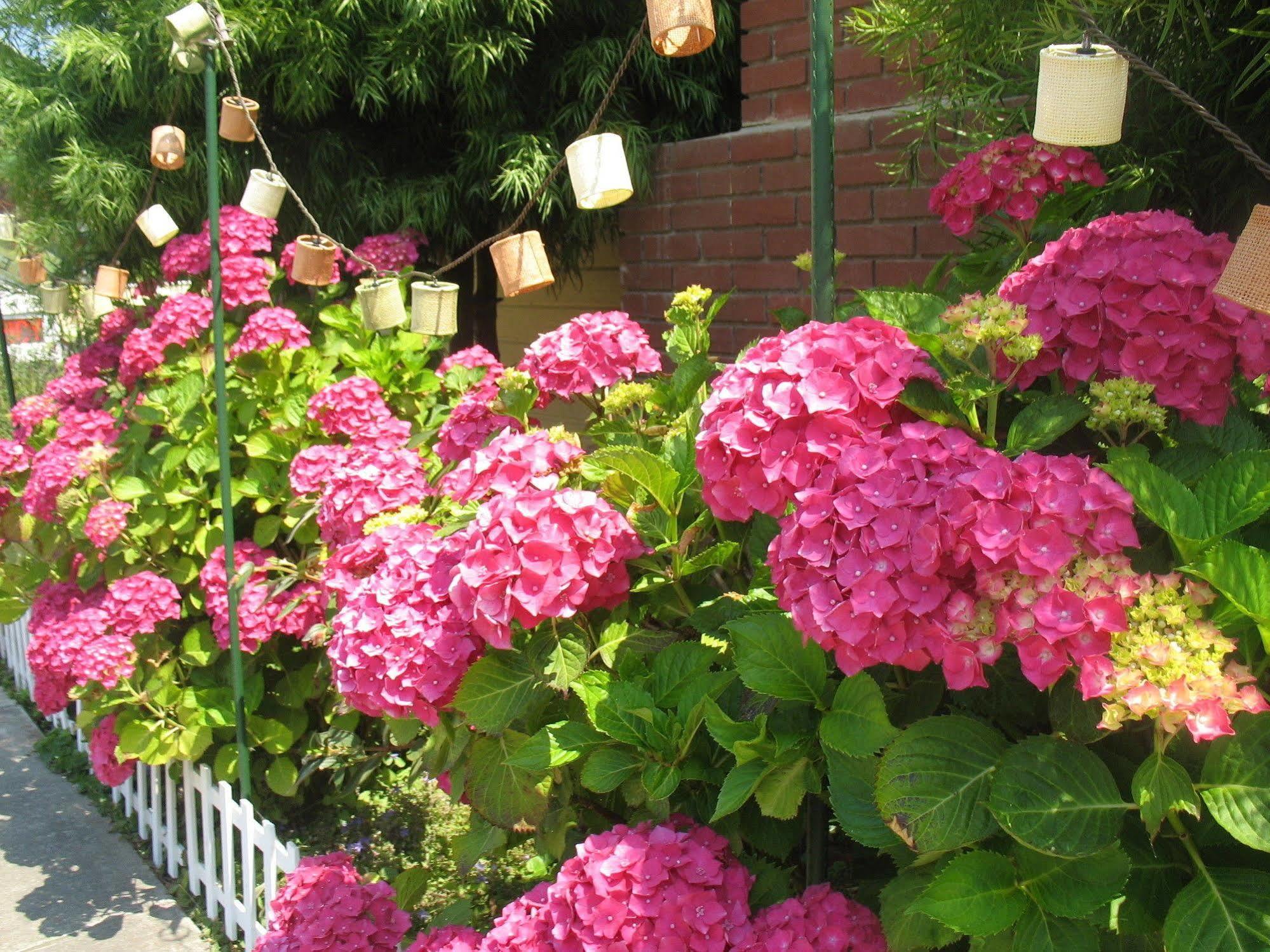 Creekside Inn Downtown Cambria Εξωτερικό φωτογραφία